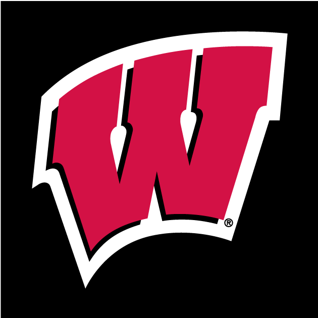 Wisconsin Badgers 1991-Pres Alternate Logo v2 iron on transfers for clothing